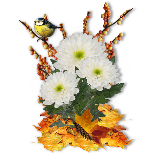 őszi állatok_68.png